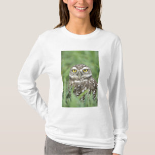USA, Florida, Cape Coral, Kaninchenkauz (Athene T-Shirt