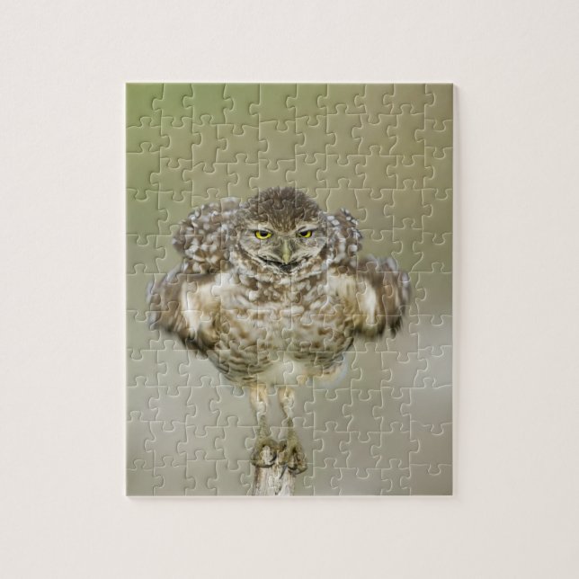 USA, Florida, Cape Coral, Nah aufkeimende Puzzle (Vertikal)