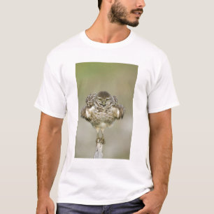 USA, Florida, Cape Coral, Nahaufnahme eines graben T-Shirt