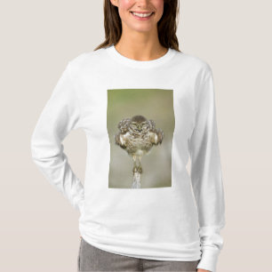 USA, Florida, Cape Coral, Nahaufnahme eines graben T-Shirt