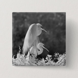 USA, Florida, Great Egret (Ardea alba) Infrarot Button