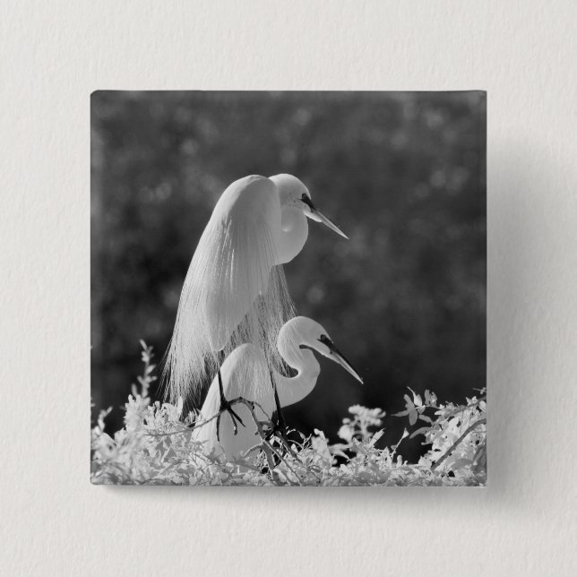 USA, Florida, Great Egret (Ardea alba) Infrarot Button (Vorderseite)