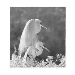USA, Florida, Great Egret (Ardea alba) Infrarot Notizblock