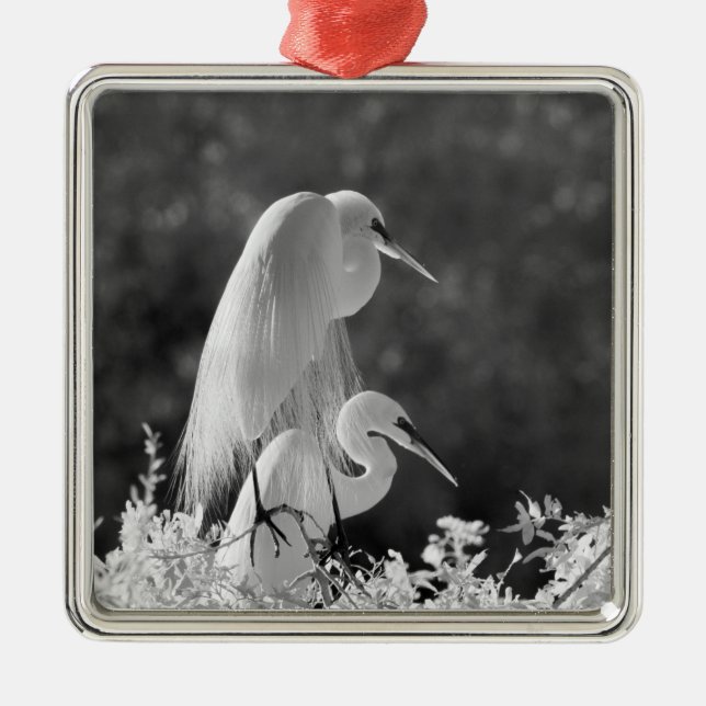 USA, Florida, Great Egret (Ardea alba) Infrarot Silbernes Ornament (Vorne)