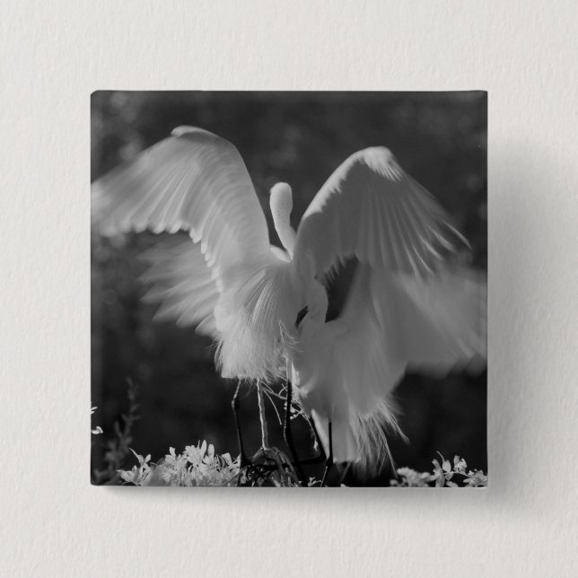 USA, Florida, Great Egret (Ardea alba) infrarote 3 Button (Vorderseite)