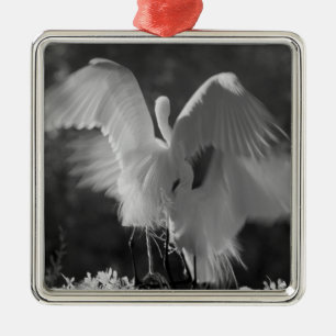 USA, Florida, Great Egret (Ardea alba) infrarote 3 Ornament Aus Metall