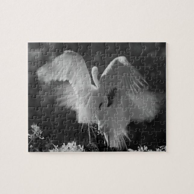 USA, Florida, Great Egret (Ardea alba) infrarote 3 Puzzle (Horizontal)