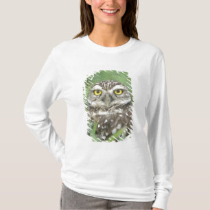USA, Florida, Kapkorallen, Burrowing Owl (Athene) T-Shirt