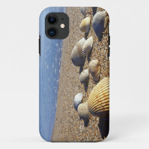 USA, Florida, Küstenmeeresmuscheln iPhone 11 Hülle
