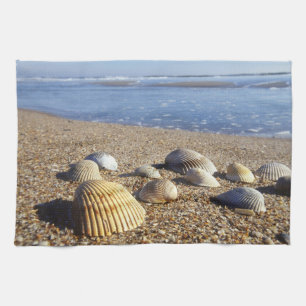 USA, Florida, Küstenmeeresmuscheln Geschirrtuch