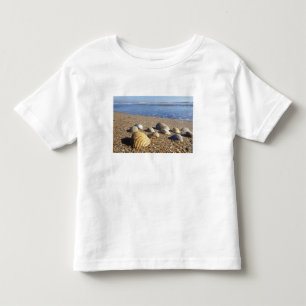 USA, Florida, Küstenmeeresmuscheln Kleinkind T-shirt