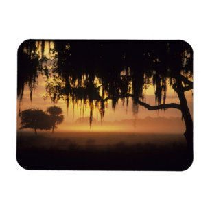 USA, Florida, Lake Kissimmee. Silhouette bei Sonne Magnet