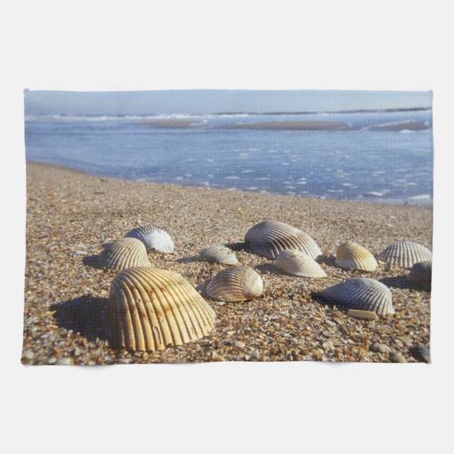 USA, Florida, Muscheln an der Küste Geschirrtuch (Horizontal)