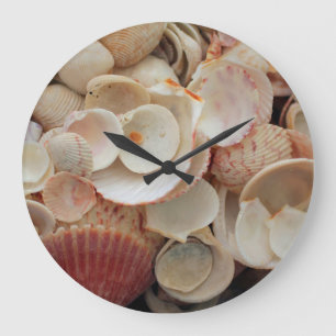 USA, Florida. Nahaufnahme von Muscheln auf Santa R Große Wanduhr