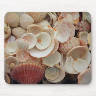 USA, Florida. Nahaufnahme von Muscheln auf Santa R Mousepad