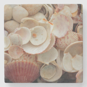 USA, Florida. Nahaufnahme von Muscheln auf Santa R Steinuntersetzer