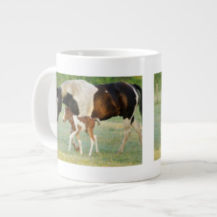 USA, Florida, neugeborenes Paint-Fohlen Jumbo-Tasse