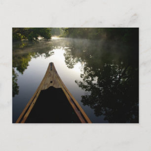 USA, Florida, Ocala National Forest, Alexander Postkarte