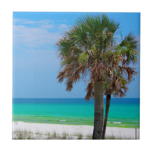 USA, Florida. Palmen an der Emerald Coast Fliese