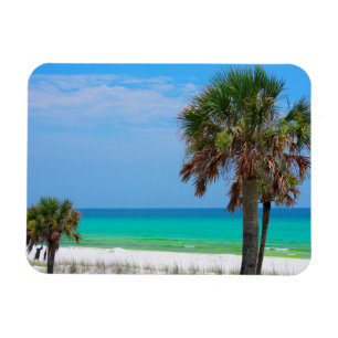 USA, Florida. Palmen an der Emerald Coast Magnet
