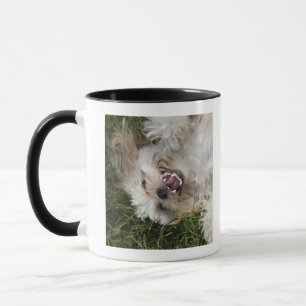 USA, Florida, Ponte Vedra Beach Tasse