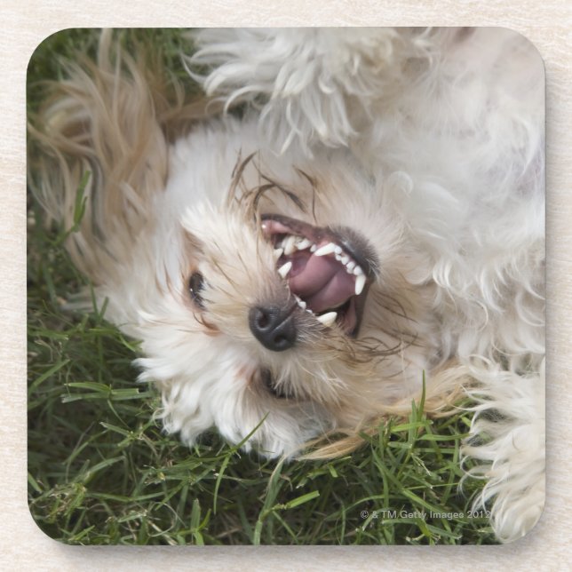 USA, Florida, Ponte Vedra Beach Untersetzer (Vorderseite)