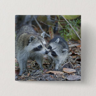 USA, Florida, Sanibel, Ding Darling National Button