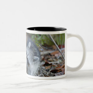 USA, Florida, Sanibel, Ding Darling National Zweifarbige Tasse
