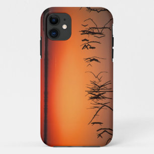 USA, Florida. Silhouetten toter Baumzweige Case-Mate iPhone Hülle