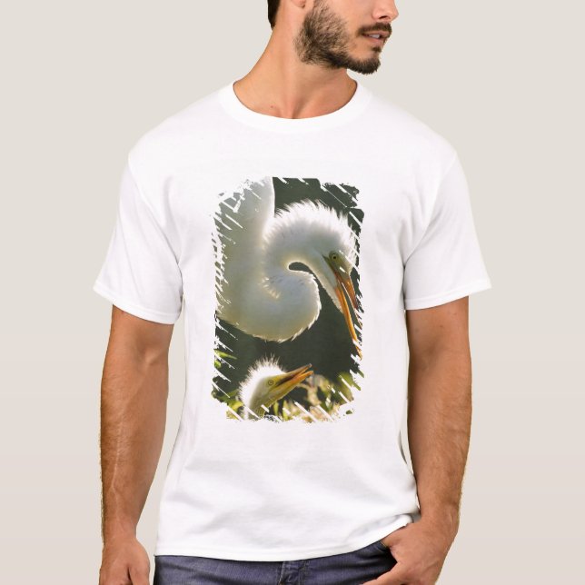 USA, Florida, St. Augustine, Alligator Farm T-Shirt (Vorderseite)