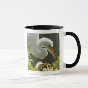 USA, Florida, St. Augustine, Alligatorfarm Tasse
