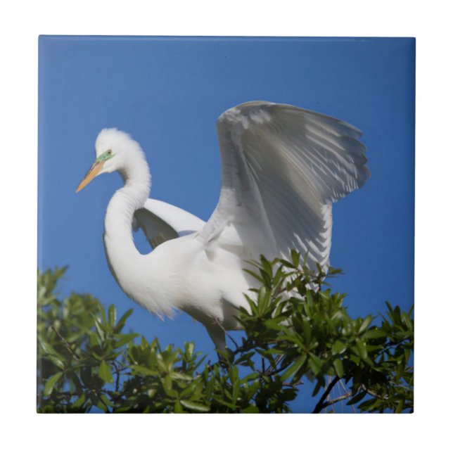 USA, Florida, St. Augustine, Egret Fliese (Vorderseite)