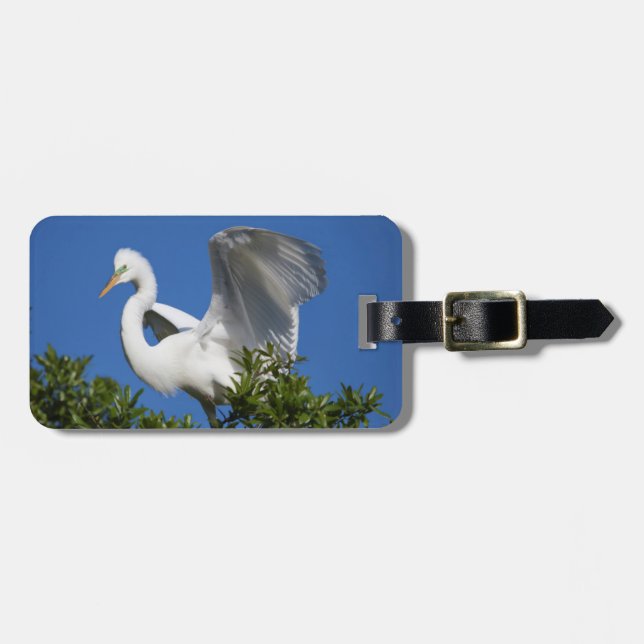 USA, Florida, St. Augustine, Egret Gepäckanhänger (Vorderseite horizontal)