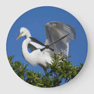 USA, Florida, St. Augustine, Egret Große Wanduhr