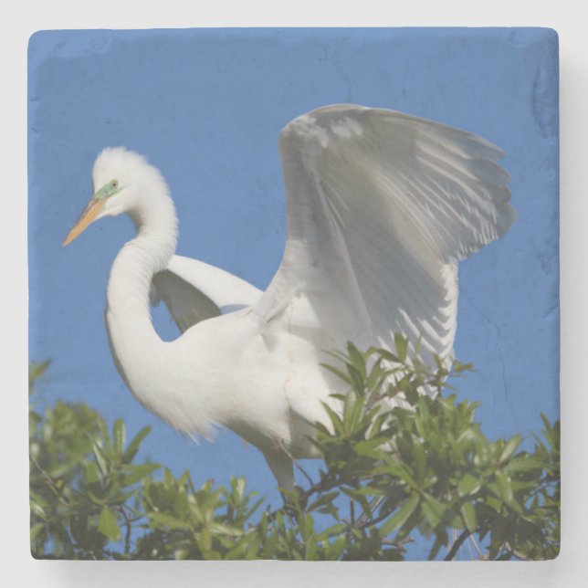 USA, Florida, St. Augustine, Egret Steinuntersetzer (Vorderseite)