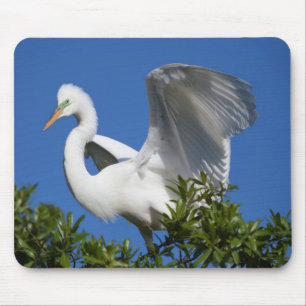 USA, Florida, St. Augustine, Silberreiher Mousepad