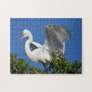 USA, Florida, St. Augustine, Silberreiher Puzzle