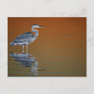 USA, Florida, St. Petersburg, Fort De Soto 2 Postkarte