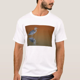 USA, Florida, St. Petersburg, Fort De Soto 2 T-Shirt