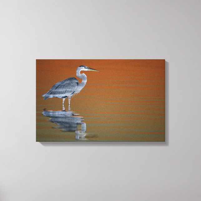 USA, Florida, St. Petersburg, Fort De Soto Leinwanddruck (Vorderseite)