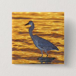 USA, Florida, St. Petersburg, Fort De Soto Park. Button