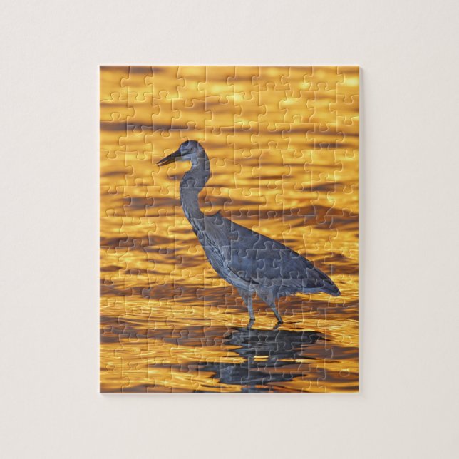 USA, Florida, St. Petersburg, Fort De Soto Park. Puzzle (Vertikal)