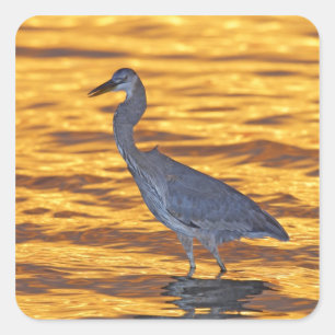 USA, Florida, St. Petersburg, Fort De Soto Park. Quadratischer Aufkleber