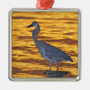 USA, Florida, St. Petersburg, Fort De Soto Park. Silbernes Ornament