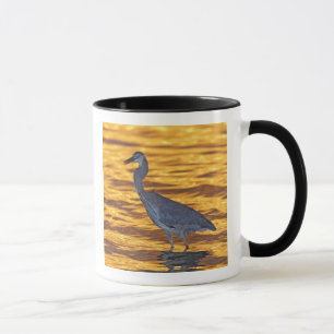 USA, Florida, St. Petersburg, Fort De Soto Park. Tasse