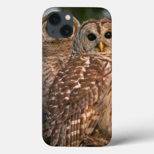 USA, Florida, Viera Wetlands. Three barred Case-Mate iPhone Hülle