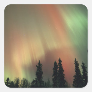 USA, Gebiet Fairbanks, Zentral-Alaska, Aurora 3 Quadratischer Aufkleber