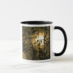 USA, Georgia, Callaway Gardens, Sonnenaufgang Tasse