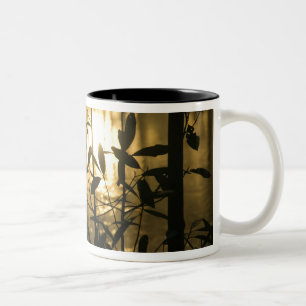 USA, Georgia, Callaway Gardens, Sonnenaufgang Zweifarbige Tasse