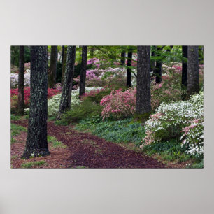 USA, Georgia, Callaway Gardens. Weg Poster